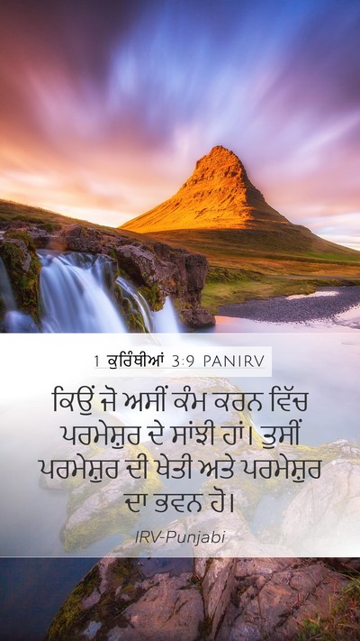 1 ਕੁਰਿੰਥੀਆਂ 3:9 PANIRV Bible Verse Image