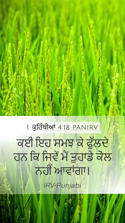 1 ਕੁਰਿੰਥੀਆਂ 4:18 PANIRV Bible Verse Image