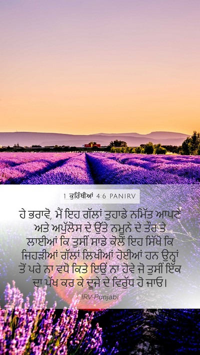 1 ਕੁਰਿੰਥੀਆਂ 4:6 PANIRV Bible Verse Image