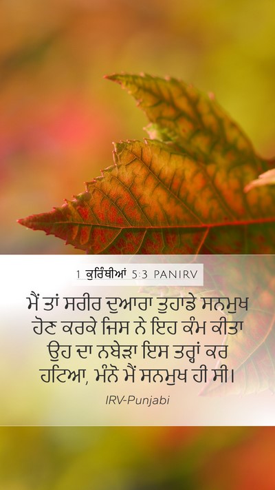 1 ਕੁਰਿੰਥੀਆਂ 5:3 PANIRV Bible Verse Image