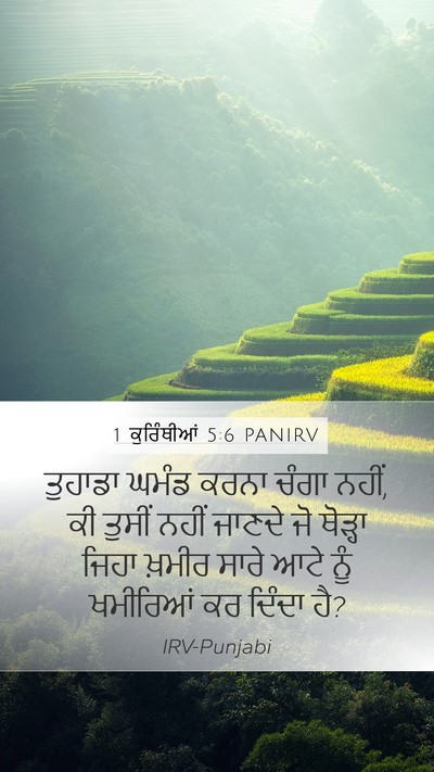 1 ਕੁਰਿੰਥੀਆਂ 5:6 PANIRV Bible Verse Image