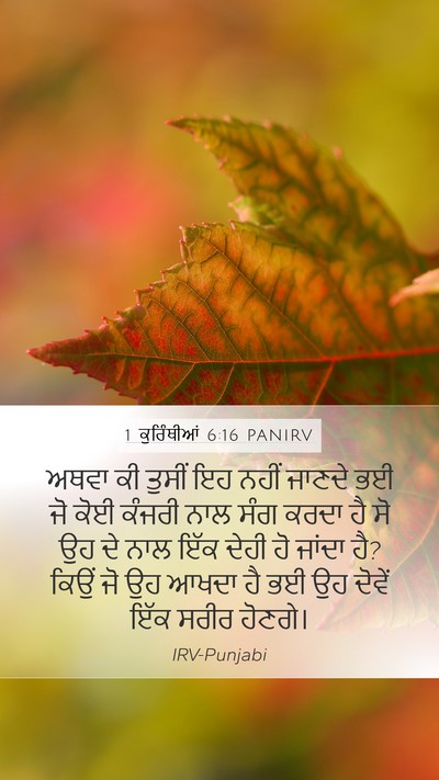 1 ਕੁਰਿੰਥੀਆਂ 6:16 PANIRV Bible Verse Image