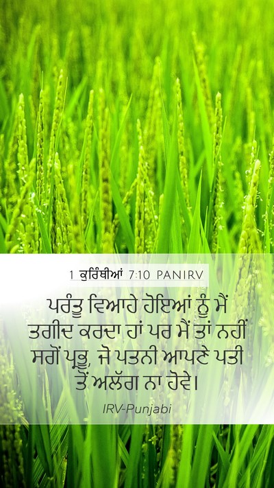 1 ਕੁਰਿੰਥੀਆਂ 7:10 PANIRV Bible Verse Image