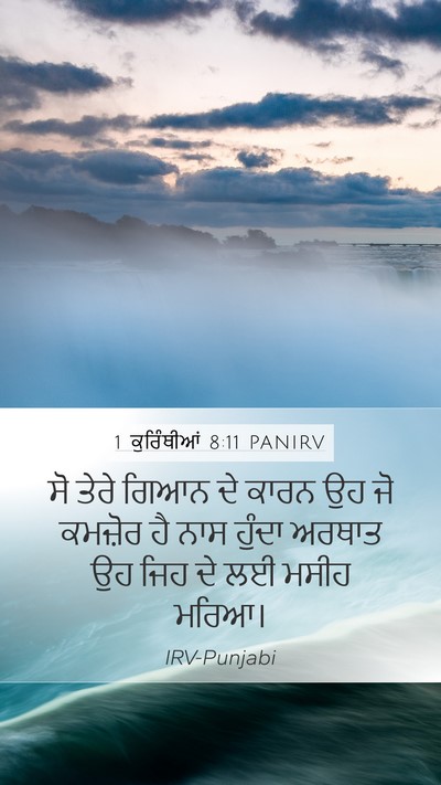 1 ਕੁਰਿੰਥੀਆਂ 8:11 PANIRV Bible Verse Image