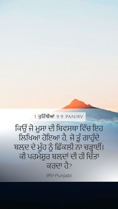 1 ਕੁਰਿੰਥੀਆਂ 9:9 PANIRV Bible Verse Image
