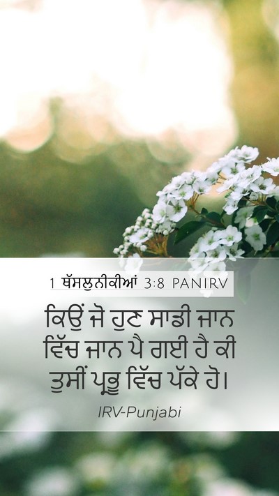 1 ਥੱਸਲੁਨੀਕੀਆਂ 3:8 PANIRV Bible Verse Image