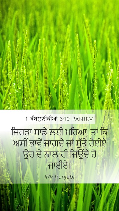 1 ਥੱਸਲੁਨੀਕੀਆਂ 5:10 PANIRV Bible Verse Image
