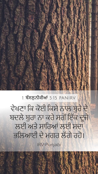 1 ਥੱਸਲੁਨੀਕੀਆਂ 5:15 PANIRV Bible Verse Image