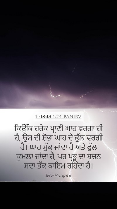 1 ਪਤਰਸ 1:24 PANIRV Bible Verse Image