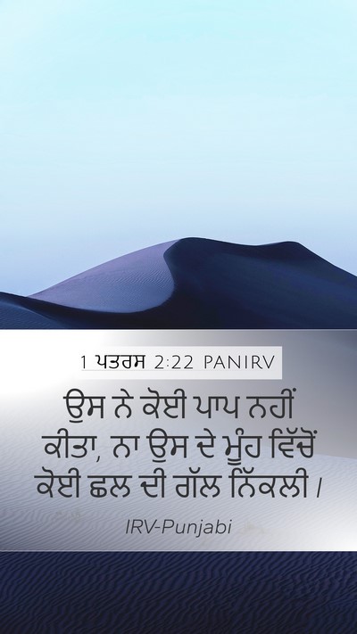 1 ਪਤਰਸ 2:22 PANIRV Bible Verse Image
