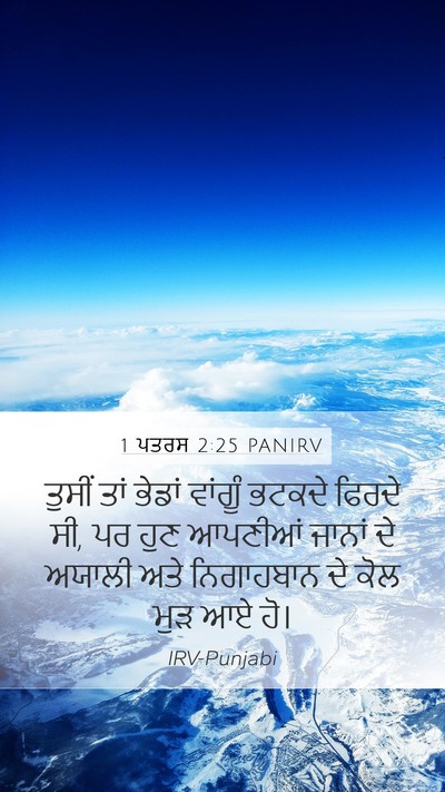 1 ਪਤਰਸ 2:25 PANIRV Bible Verse Image