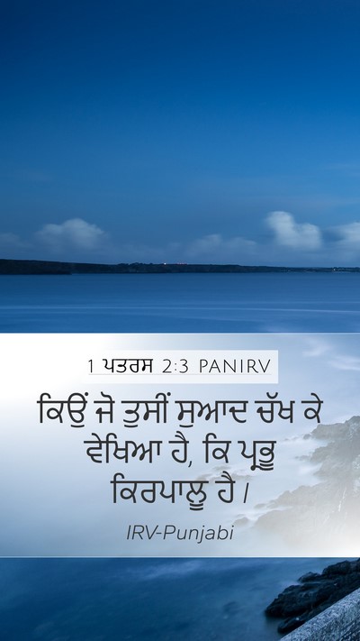 1 ਪਤਰਸ 2:3 PANIRV Mobile Phone Wallpaper - ਕਿਉਂ ਜੋ ਤੁਸੀਂ ਸੁਆਦ - Mobile Bible Verse Wallpaper