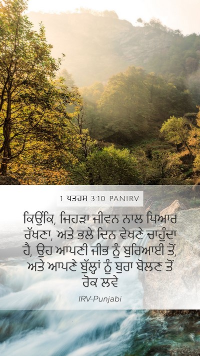 1 ਪਤਰਸ 3:10 PANIRV Bible Verse Image