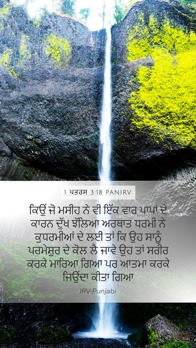 1 ਪਤਰਸ 3:18 PANIRV Bible Verse Image