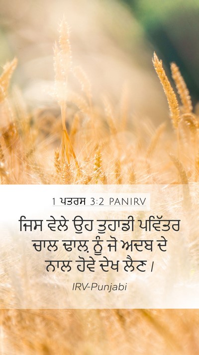 1 ਪਤਰਸ 3:2 PANIRV Mobile Phone Wallpaper - ਜਿਸ ਵੇਲੇ ਉਹ ਤੁਹਾਡੀ - Mobile Bible Verse Wallpaper