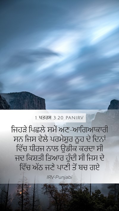 1 ਪਤਰਸ 3:20 PANIRV Bible Verse Image