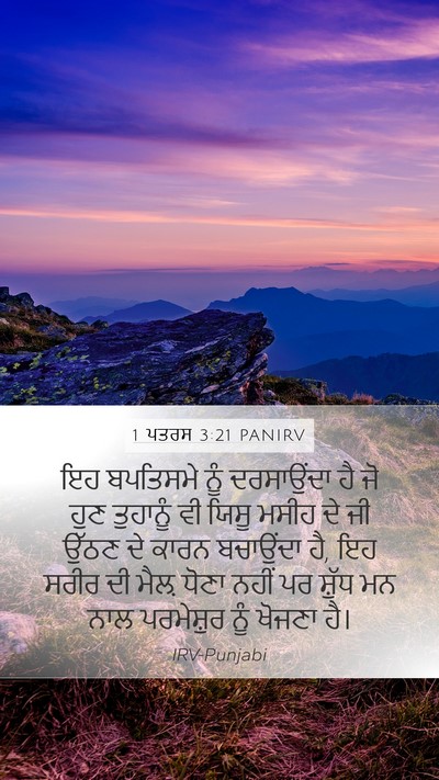 1 ਪਤਰਸ 3:21 PANIRV Bible Verse Image