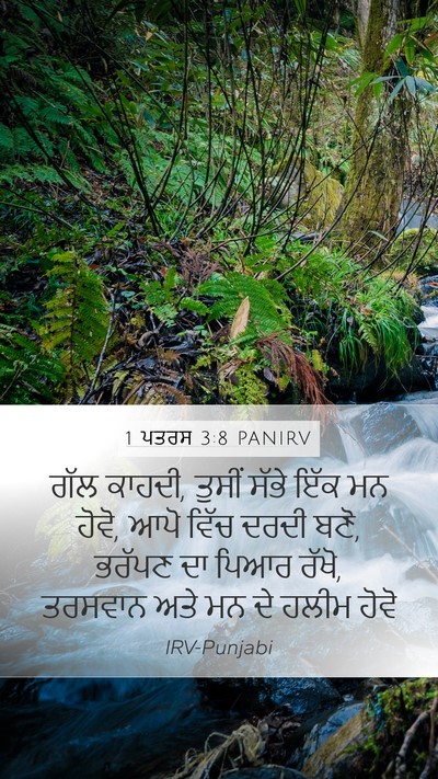 1 ਪਤਰਸ 3:8 PANIRV Bible Verse Image
