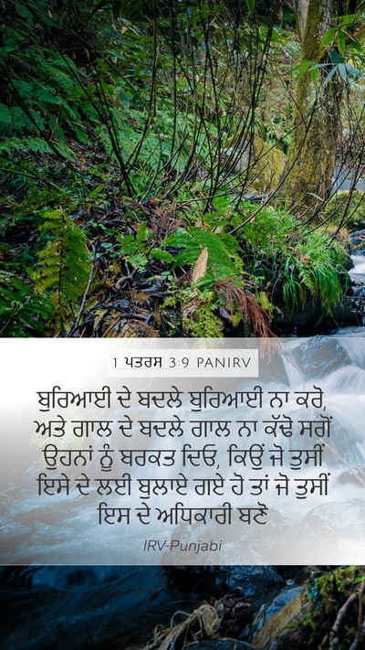 1 ਪਤਰਸ 3:9 PANIRV Bible Verse Image