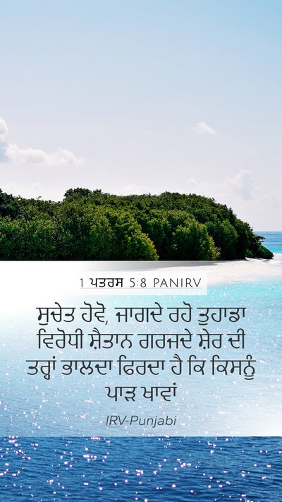 1 ਪਤਰਸ 5:8 PANIRV Bible Verse Image