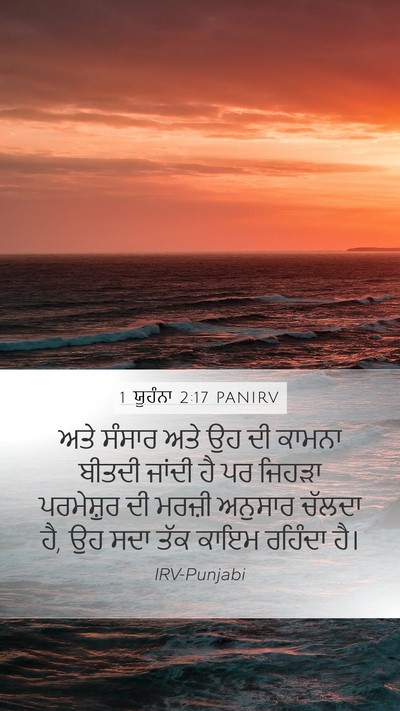 1 ਯੂਹੰਨਾ 2:17 PANIRV Bible Verse Image