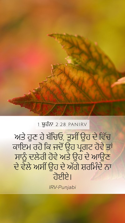 1 ਯੂਹੰਨਾ 2:28 PANIRV Bible Verse Image