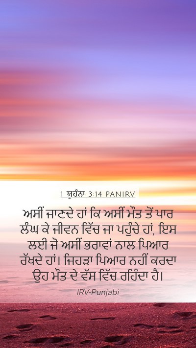 1 ਯੂਹੰਨਾ 3:14 PANIRV Bible Verse Image