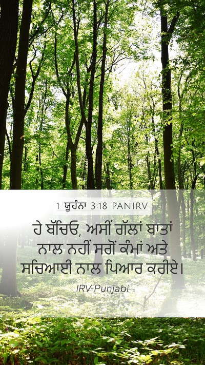 1 ਯੂਹੰਨਾ 3:18 PANIRV Bible Verse Image