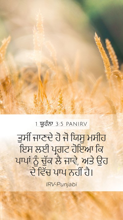 1 ਯੂਹੰਨਾ 3:5 PANIRV Bible Verse Image