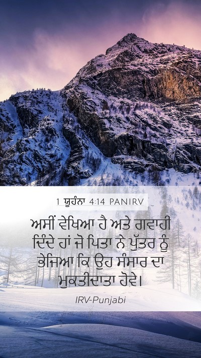 1 ਯੂਹੰਨਾ 4:14 PANIRV Bible Verse Image