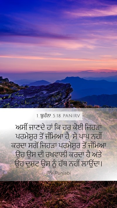 1 ਯੂਹੰਨਾ 5:18 PANIRV Bible Verse Image