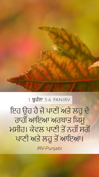 1 ਯੂਹੰਨਾ 5:6 PANIRV Bible Verse Image