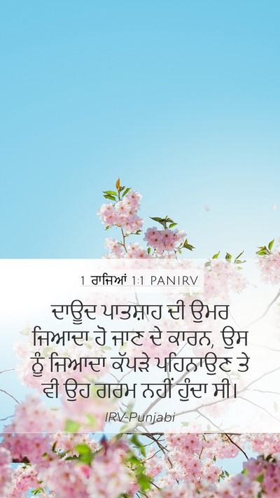 1 ਰਾਜਿਆਂ 1:1 PANIRV Bible Verse Image