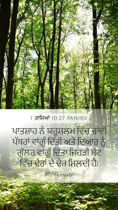 1 ਰਾਜਿਆਂ 10:27 PANIRV Bible Verse Image