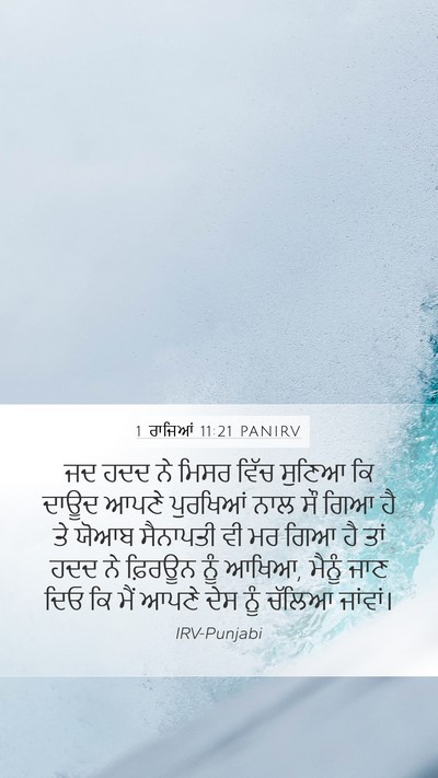 1 ਰਾਜਿਆਂ 11:21 PANIRV Bible Verse Image