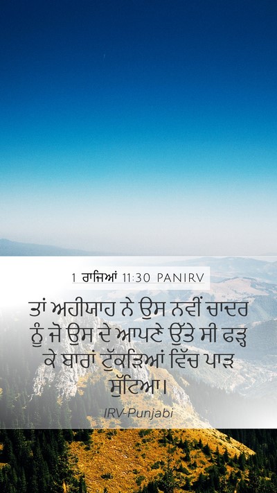 1 ਰਾਜਿਆਂ 11:30 PANIRV Bible Verse Image
