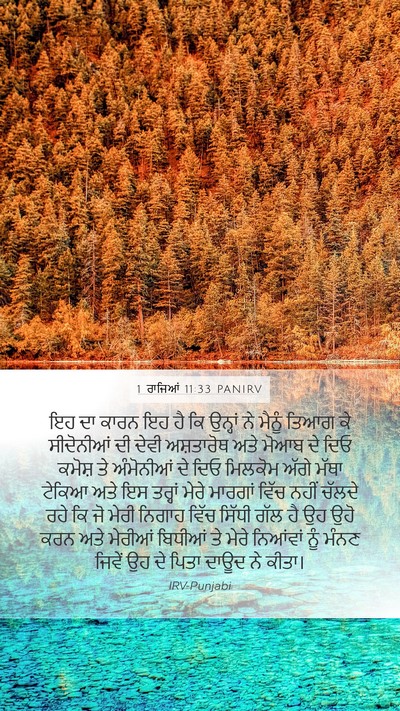 1 ਰਾਜਿਆਂ 11:33 PANIRV Bible Verse Image