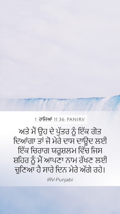 1 ਰਾਜਿਆਂ 11:36 PANIRV Bible Verse Image