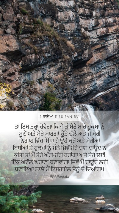 1 ਰਾਜਿਆਂ 11:38 PANIRV Bible Verse Image