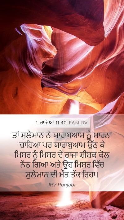 1 ਰਾਜਿਆਂ 11:40 PANIRV Bible Verse Image