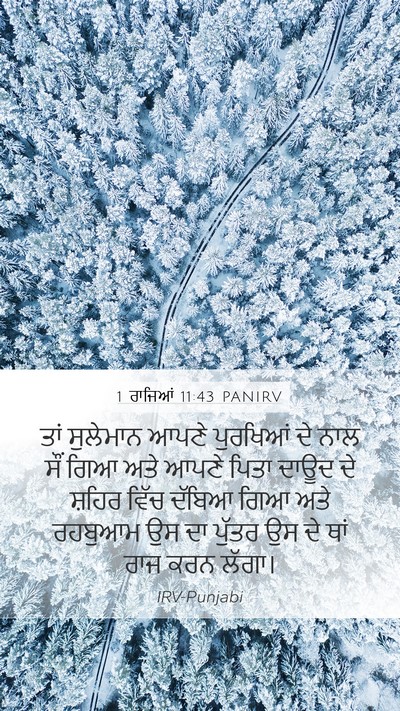 1 ਰਾਜਿਆਂ 11:43 PANIRV Bible Verse Image