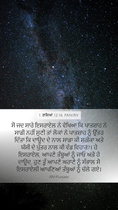 1 ਰਾਜਿਆਂ 12:16 PANIRV Bible Verse Image
