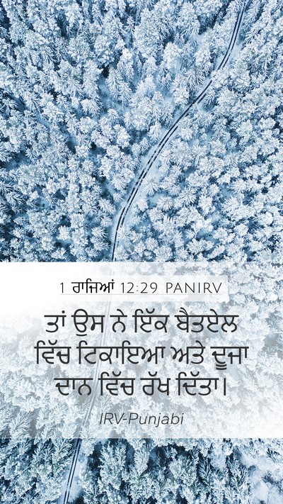1 ਰਾਜਿਆਂ 12:29 PANIRV Bible Verse Image