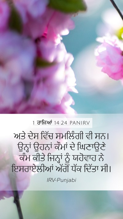 1 ਰਾਜਿਆਂ 14:24 PANIRV Bible Verse Image