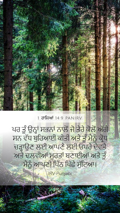 1 ਰਾਜਿਆਂ 14:9 PANIRV Bible Verse Image