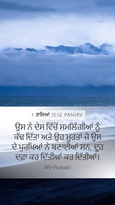 1 ਰਾਜਿਆਂ 15:12 PANIRV Bible Verse Image