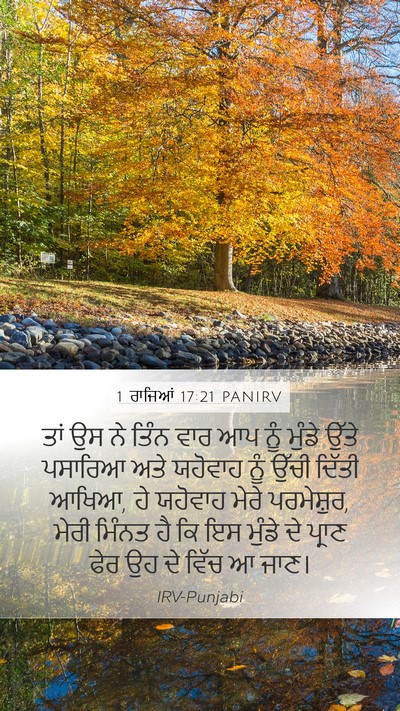 1 ਰਾਜਿਆਂ 17:21 PANIRV Bible Verse Image