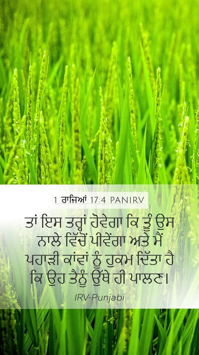 1 ਰਾਜਿਆਂ 17:4 PANIRV Bible Verse Image
