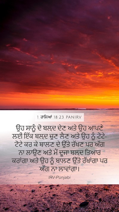 1 ਰਾਜਿਆਂ 18:23 PANIRV Bible Verse Image