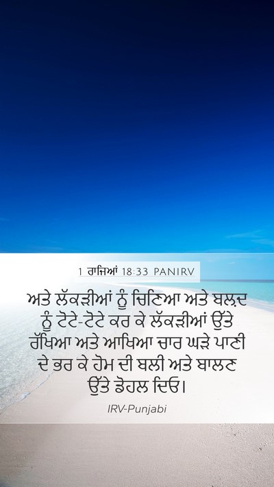 1 ਰਾਜਿਆਂ 18:33 PANIRV Bible Verse Image